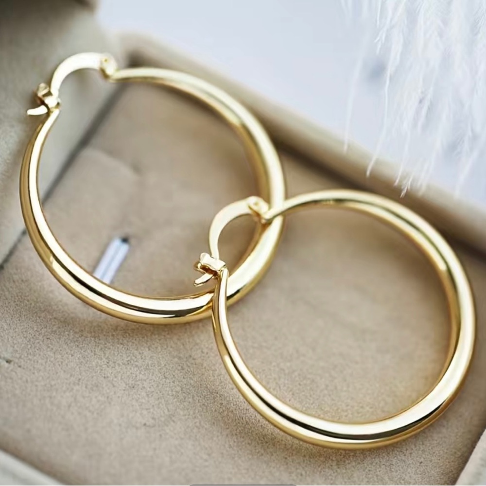 NWT 18K Gold Plated Hoop Earrings